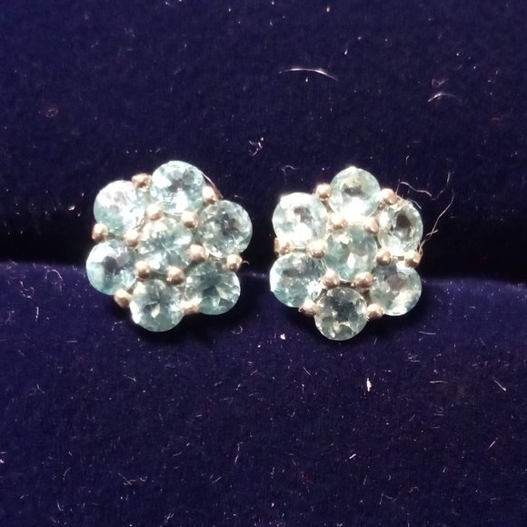 LAST ONE Apatite Flower & Sterling Silver Earrings - Picture 2 of 9